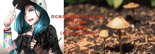 СК Бородино