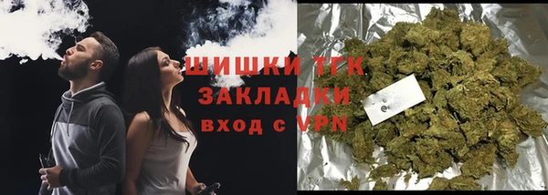 СК Бородино