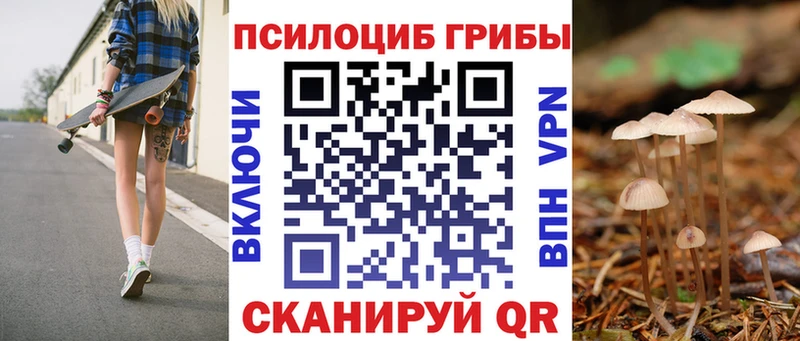Купить  Геленджик  Псилоцибиновые грибы MAGIC MUSHROOMS 